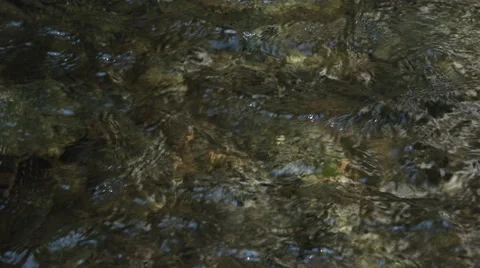 A fast-flowing shallow stream above a rocky bed Stock Footage 59529470