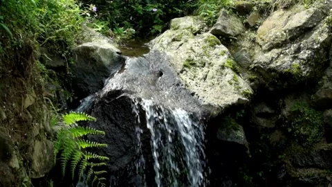 A fast flowing small waterfall in the mountains Stock Footage 320104663