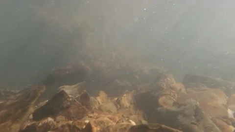 On a fast flowing stream bottom Stock-Footage 149706053