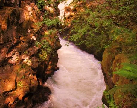Fast flowing stream cutting through lava rock 库存照片