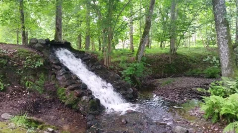 Fast Flowing Stream Video stock 65764747