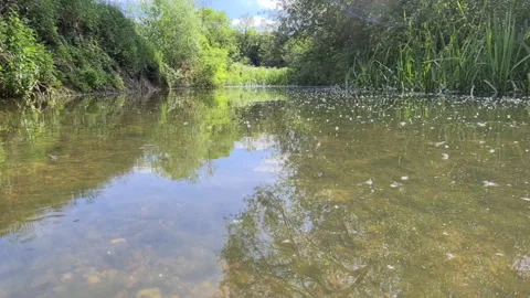 A fast flowing stream Stock Footage 136257718