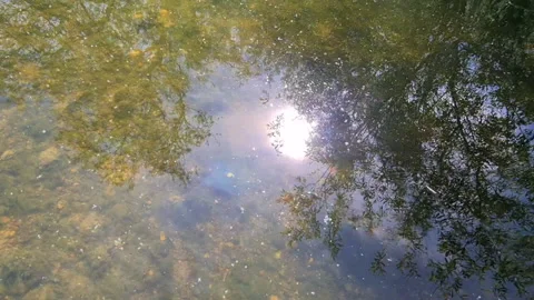 A fast flowing stream Stock Footage 136258954