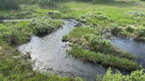 Fast flowing stream Stock-Footage 288011730