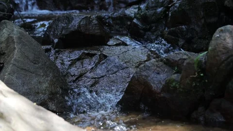 Fast flowing stream Stock Footage 302895604