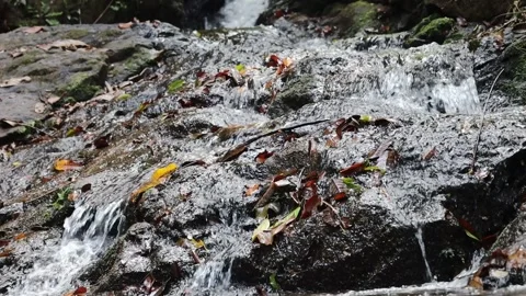 Fast flowing stream Stock Footage 303435649
