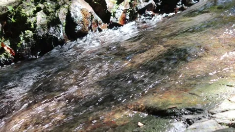 Fast flowing stream Stock Footage 303435741