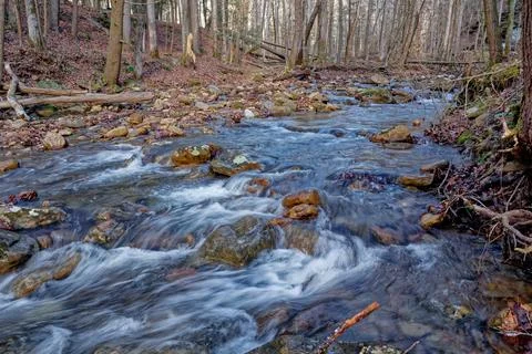 Fast flowing stream in a forest Stock Photos