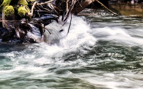 Fast flowing stream over moss covered log with driftwood and rocks in backg.. Stock Photos