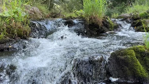 Fast flowing stream over mossy rocks in a forest. Stock Footage 343501444