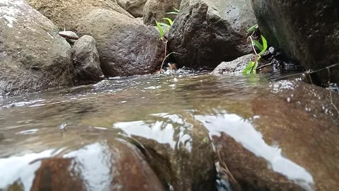 Fast Flowing Stream Over Rocks in Natural Forest Stock Footage 329900156