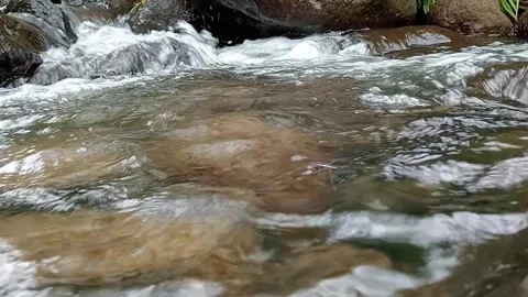 Fast Flowing Stream Over Rocks in Natural Environment Stock Footage 330394136