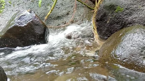 Fast Flowing Stream Over Rocks Dynamic Water Motion Stock Footage 330566987