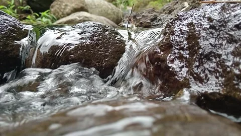 Fast Flowing Stream Over Rocks in Tropical Forest Natural Scene Stock Footage 330582454