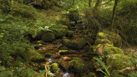 Fast Flowing Stream Over Rocky River In The Rainforest. Zoom Out Shot Stock Footage 283655245