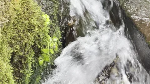 Fast flowing stream over stones detail Vídeos de archivo 335541586