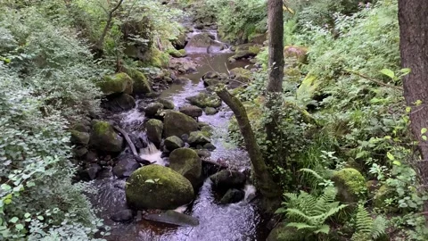 Fast flowing stream - Padley Gorge, Derbyshire, UK Stock Footage 161085002