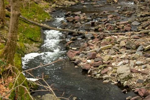 A Fast Flowing Stream With Rapids Rocks and Moss Stock Photos