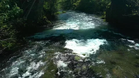 Fast Flowing Stream Of Rio Lerez Near Pedre. Close-up Shot Stock Footage 311575042
