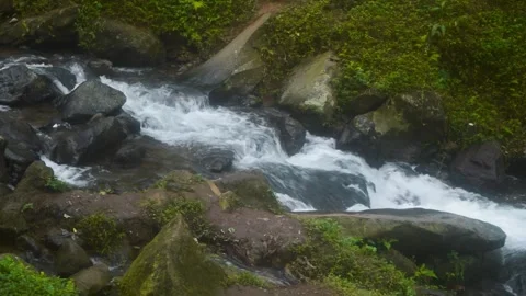 Fast flowing stream rushes over rocks and boulders in a lush green forest o.. Stock Footage 340056502