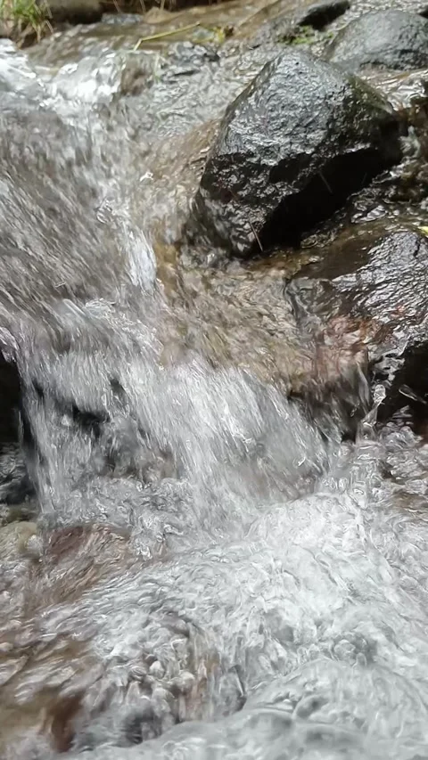 Fast Flowing Stream Water Over Rocks in Natural Environment Stock Footage 330528288