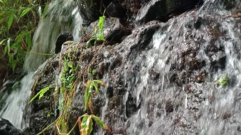 Fast Flowing Stream Water Over Stones Natural Close-Up Scene Stock Footage 330541877