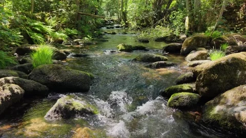 Fast-flowing Streams Of Vaos River Rushing Through Rocks Stock-Footage 336365604