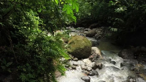 A fast flowing tropical stream with clear water and loads of small pebbles Stock Footage 142757575
