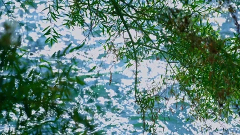 Fast flowing turquoise river water surface with sun glints 스톡 동영상 345255862
