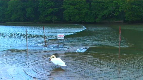Fast flowing water Stock Footage 264667