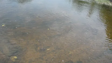Fast flowing water. 動画素材 52884018