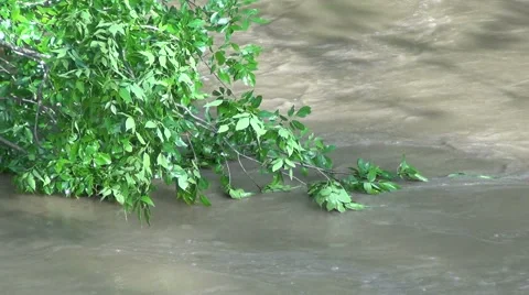 Fast Flowing Water Stock Footage 54755631