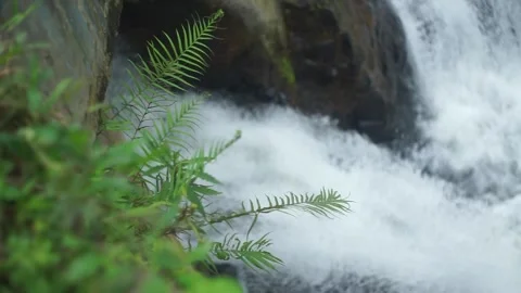 The fast flowing water in the river Stock Footage 300323146