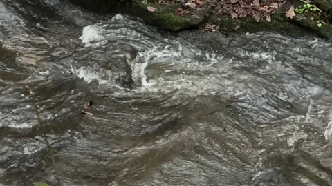 Fast flowing water running down a stream 스톡 동영상 327156658