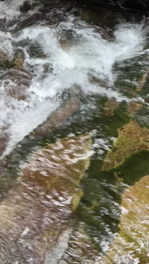 Fast flowing water stream splashing on stones in a canyon forest Video stock 336260257