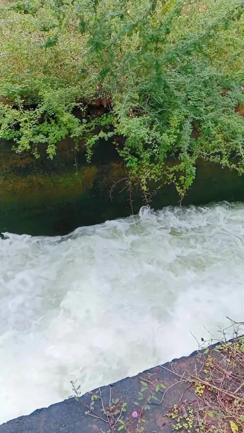 Fast-flowing water stream with white foam in a concrete canal Stock Footage 346273330