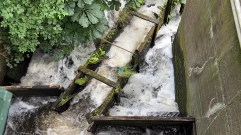 Fast Flowing Water Through Historic Canal Lock Stock Footage 340443285