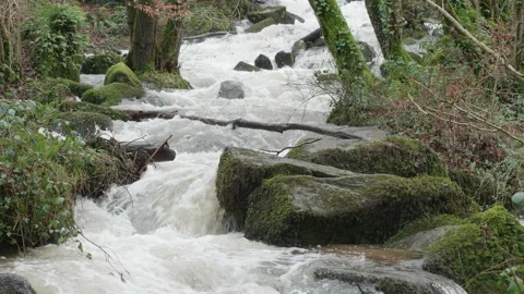 Fast flowing waterfall-cascade of white water in a woodland 1. 4K locked tripod Stock Footage 147876648