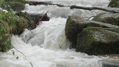 Fast flowing waterfall-cascade of white water in a woodland 2. 4K locked tripod Stock Footage 147879771