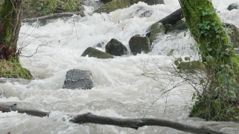 Fast flowing waterfall-cascade of white water in a woodland 3. 4K locked tripod Stock Footage 147881990
