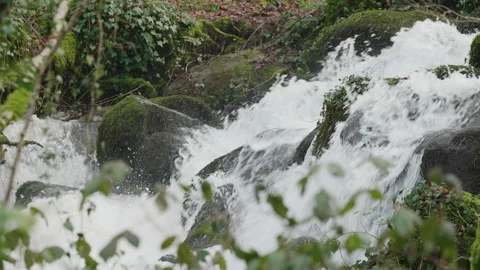 Fast flowing waterfall-cascade of white water in a woodland 4. 4K locked tripod Stock Footage 147939567