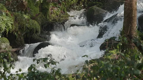 Fast flowing waterfall-cascade of white water in a woodland 5. 4K locked tripod Stock Footage 147941492