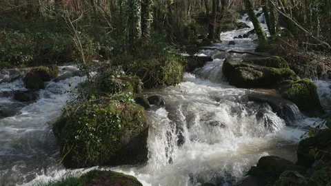 Fast flowing waterfall-cascade of white water in a woodland 6. 4K locked tripod Stock Footage 147943204