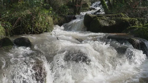 Fast flowing waterfall-cascade of white water in a woodland 7. 4K locked tripod Stock-Footage 147945219