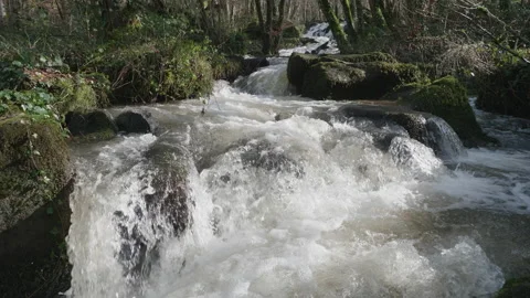 Fast flowing waterfall-cascade of white water in a woodland 8. 4K locked tripod Stock Footage 147946622