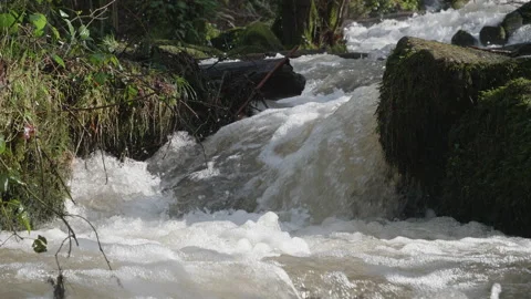 Fast flowing waterfall-cascade of white water in a woodland 9. 4K locked tripod Stock Footage 147947802