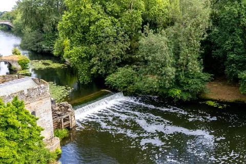 Fast Flowing Woodland River Stock Photos