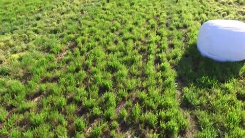Fast fly over a green mowed field at low altitude Stock Footage 140462573