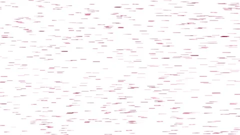 Fast-flying colored rays of light from right to left on a white background .. Stock Footage 252934748