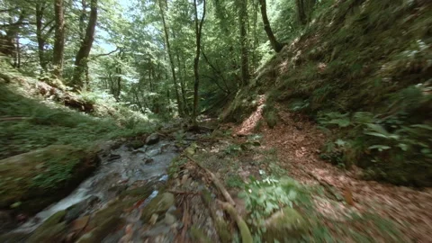 Fast flying fpv drone view rocky river flow in tropical jungle green forest Stock Footage 138817469